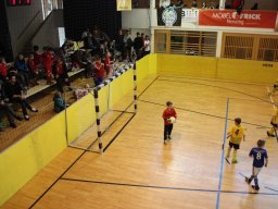 mini-IMG_5618